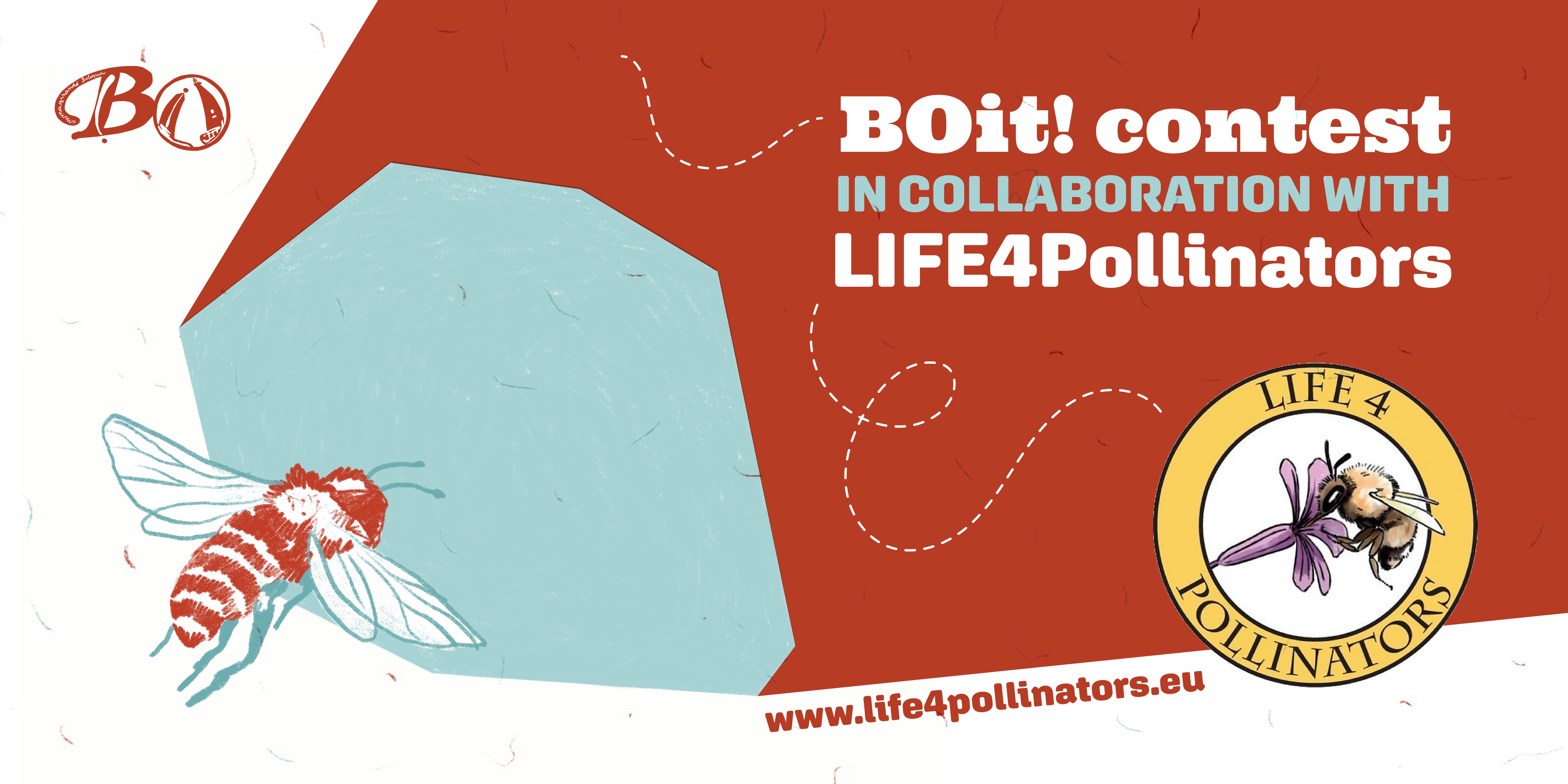 Our collaboration with LIFE4Pollinators